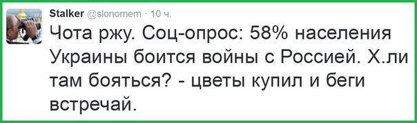 Фотки и картинки: юморные и красивые, забавные и милые 03.10.20