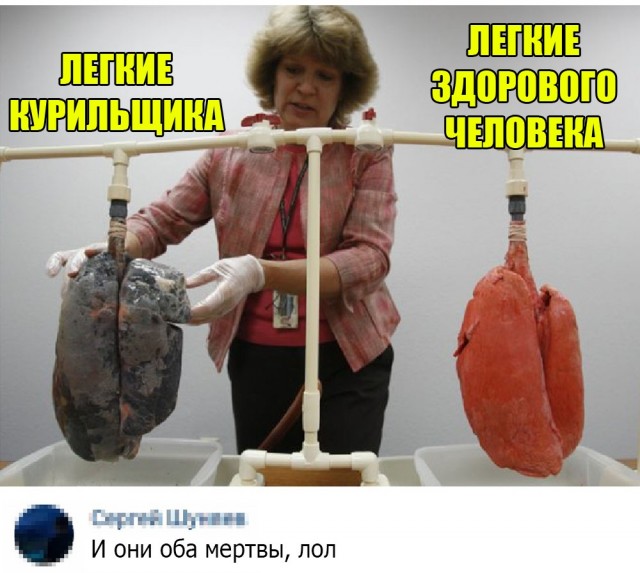 Кретинизмы из сети 11.01.2021