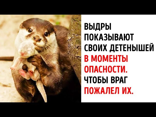 Жена не подходит моей новой квартире