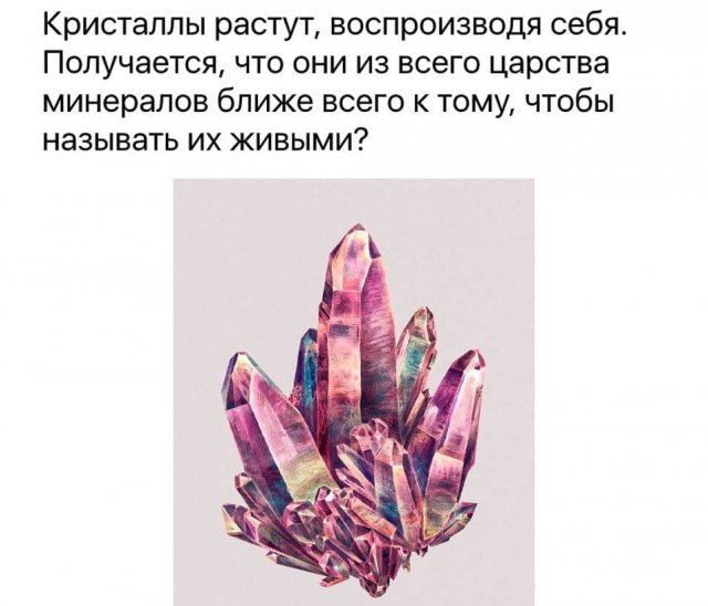 Картинки и мемы для настроения