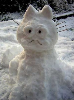Кошка и сугроб!