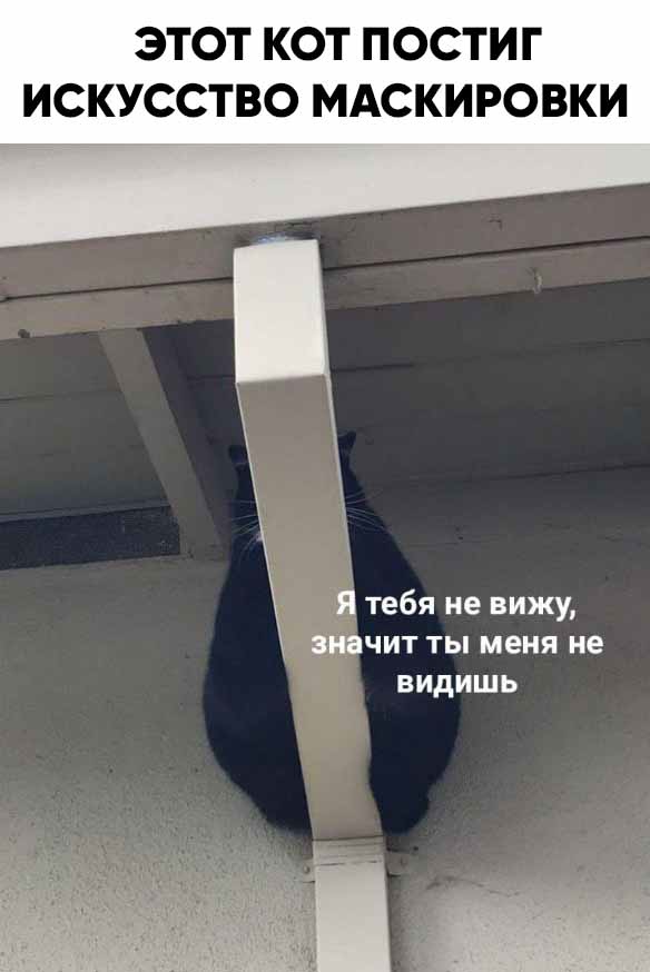 Картинки разные 24.03.2021