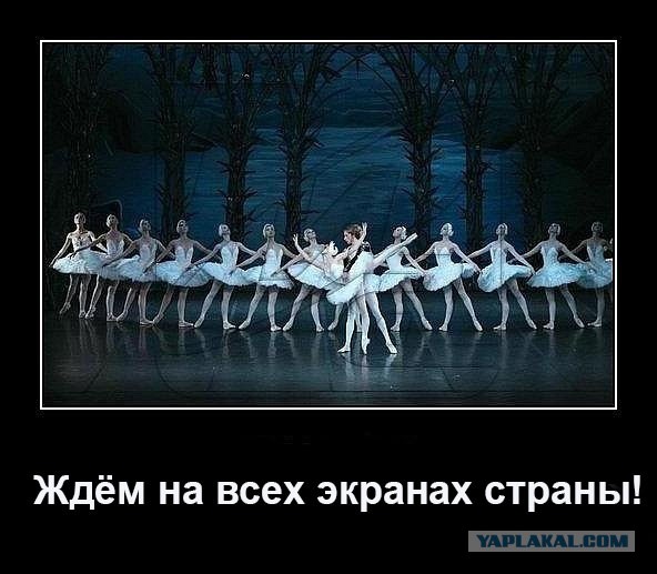 Госдума приняла закон, дающий Путину право вновь баллотироваться на пост президента