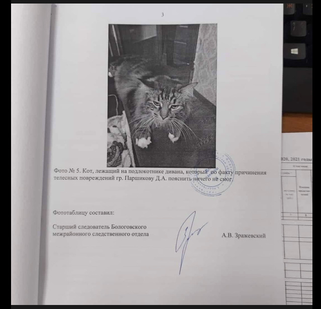 Котяра на стукача не подписался