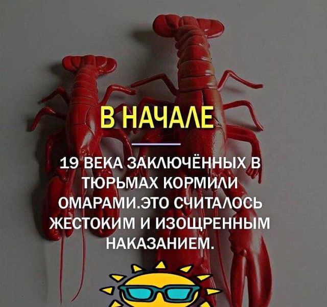 Так себе картинки 12.08.21