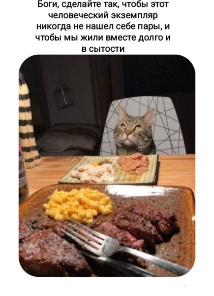 Всяческие картинки 10.11.2021