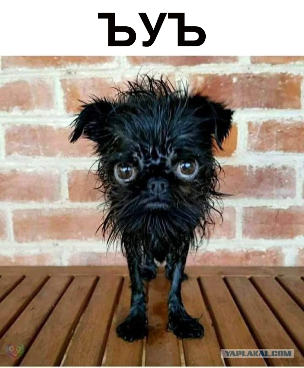 Да, было время...