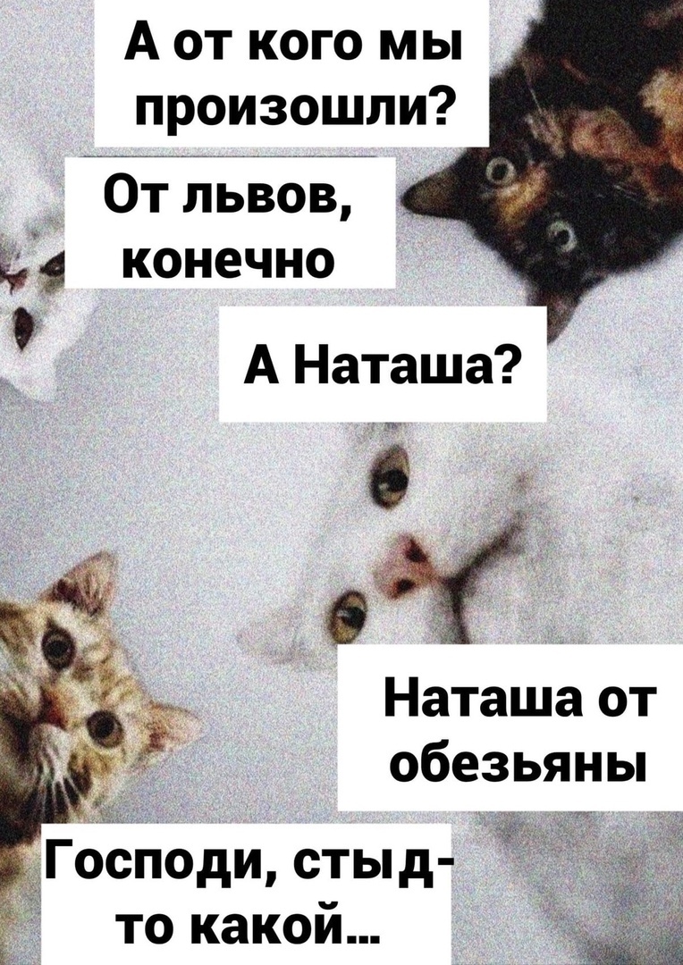 16803285.jpg