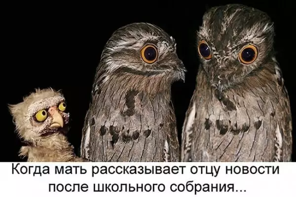 Картинки и мемы для настроения - 23