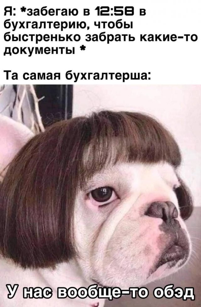 Картинки и мемы для настроения - 009