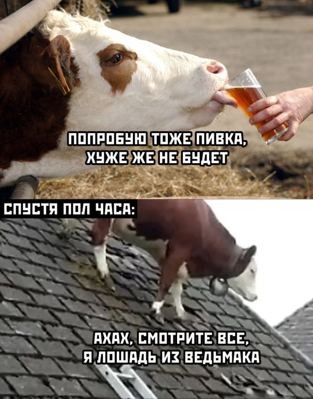 Картинки и мемы для настроения - 119