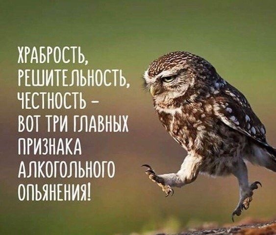 Так себе картинки 11.11.22