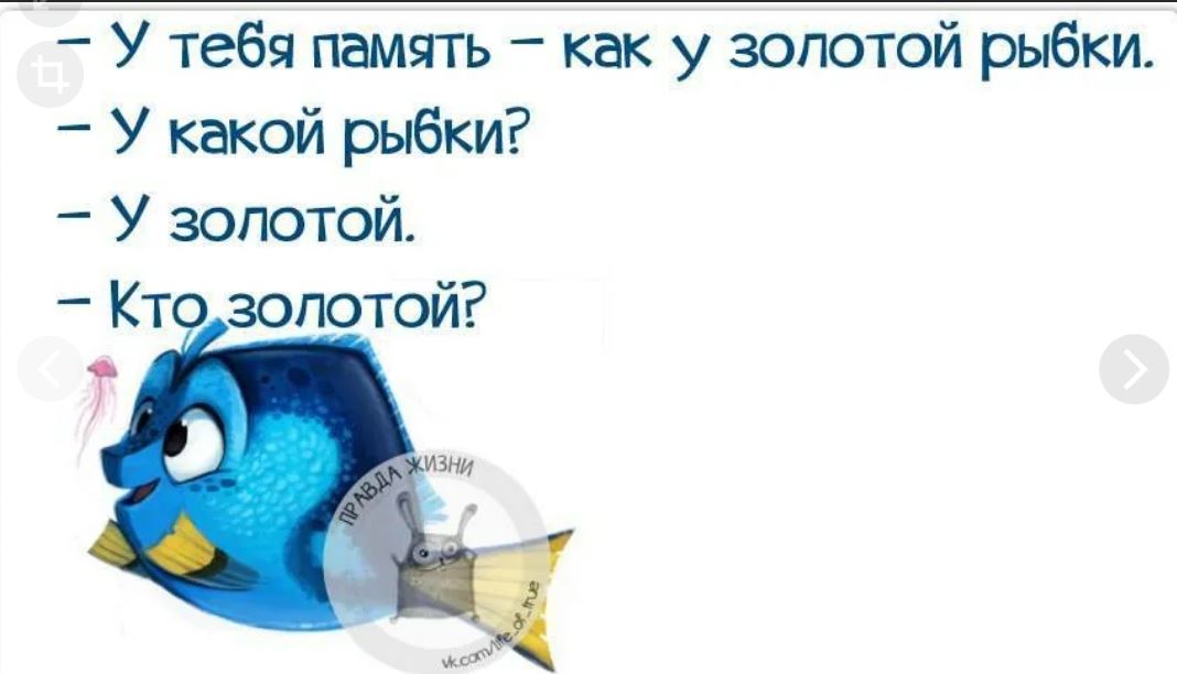 Память у рыб 3 секунды. Память у рыб. Память как у рыбки что значит. Какая память у рыбки. Маришка мемы.