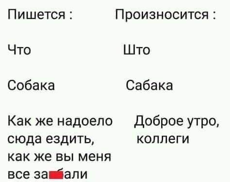 Разнообразного характера мемы