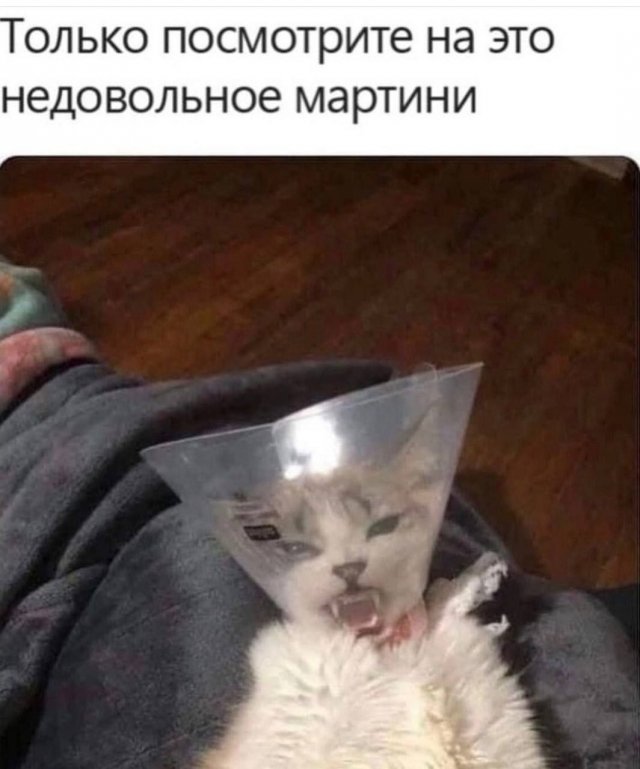Картинки и мемы, всем хороших выходных