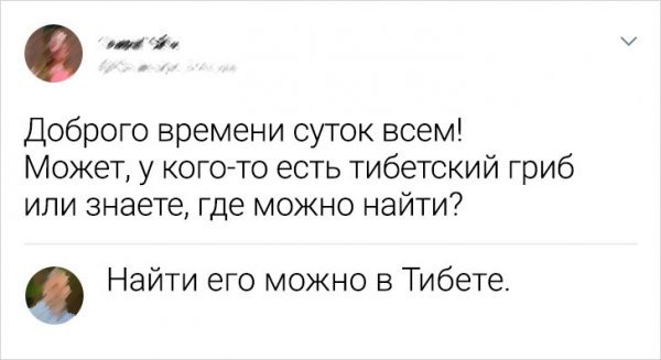 Так себе картинки 15.04.23