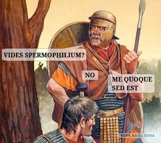 Народная меДИЧина 5002