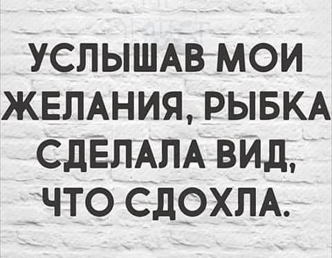 Так себе картинки 24.07.23
