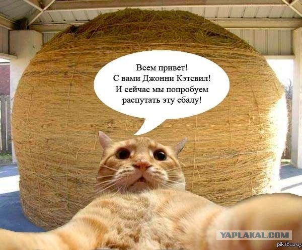 Приколы для настроения