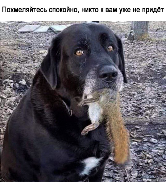 Всего понемногу. От 30.11.23