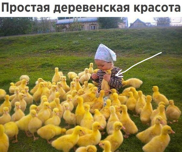 Так себе картинки 21.04.24