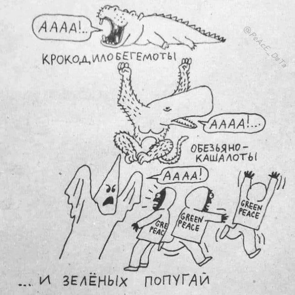 Весёлые картинки