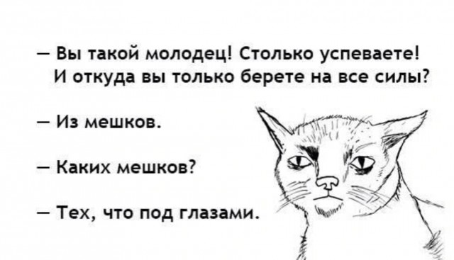 К котовторнику: подборка картинок-баянов с котиками и про котиков. Выпуск 9