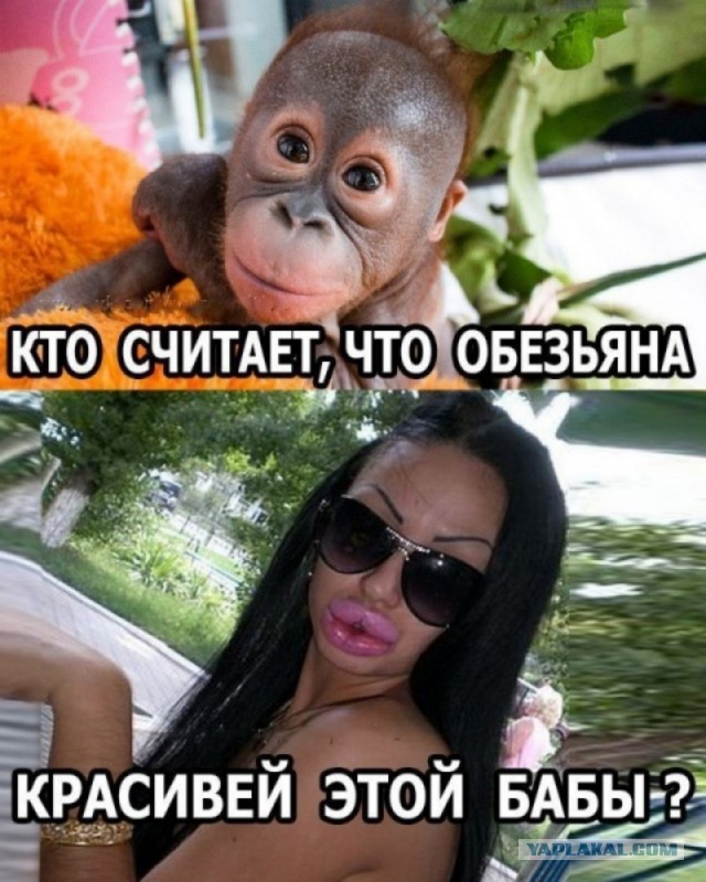 50 оттенков дичи