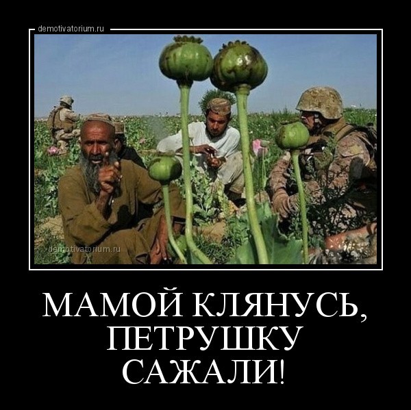 Детей иностранцев, разделяющих традиционные ценности, освободили от письменного теста по русскому языку.