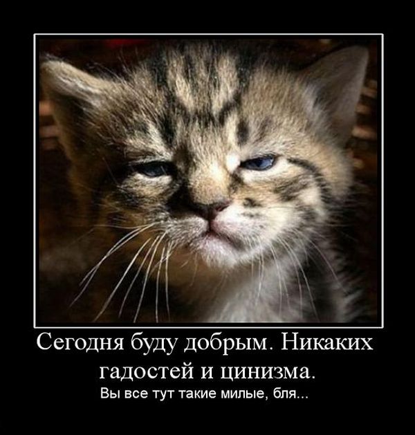 Сундук деграданта! Выпуск номер 9