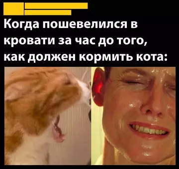 Картиночки, баянчики 23 февраля