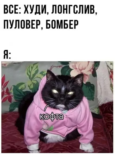 К котовторнику: подборка картинок-баянов с котиками и про котиков. Выпуск 36.