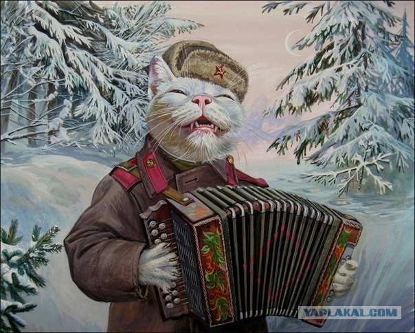 *БАЯН*Круговорот абсурда в России наглядно⁠⁠