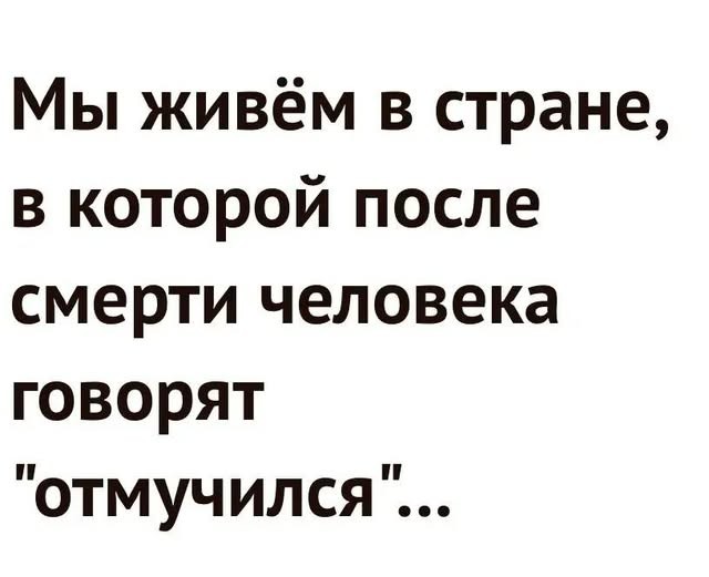 Картинки новые и старые, баяны и аккордеоны
