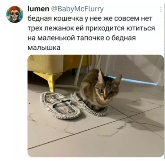 К котовторнику: подборка картинок-баянов с котиками и про котиков. Выпуск 42.