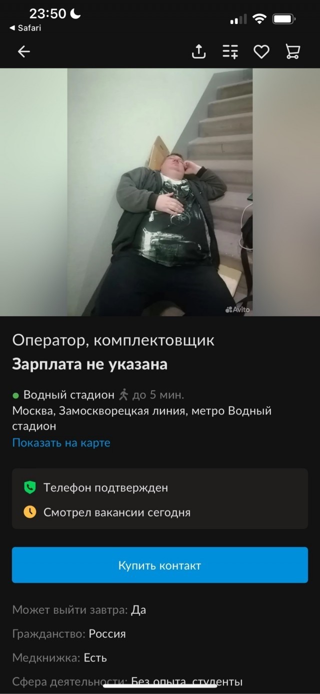 Любопытные картинки