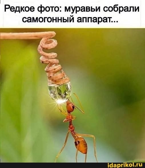 Картинки на среду
