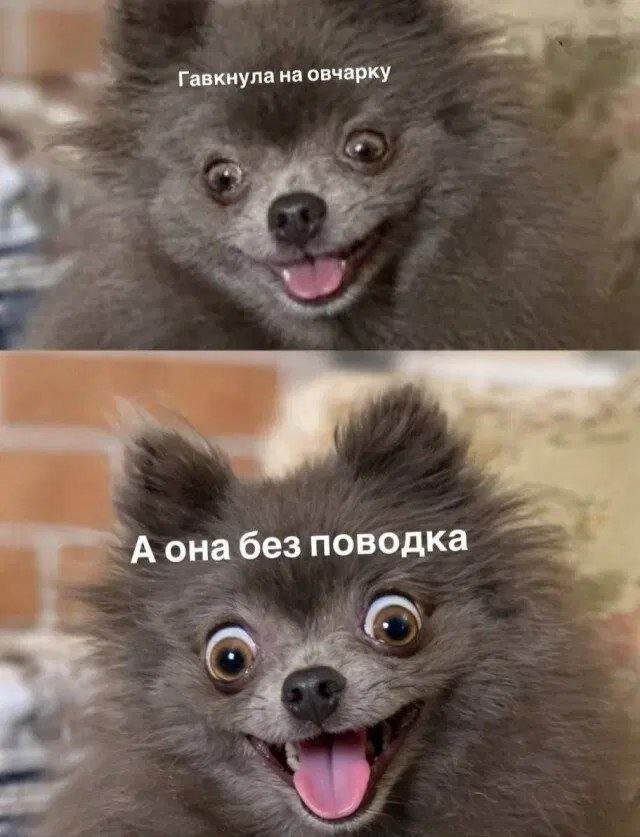 Мемчики