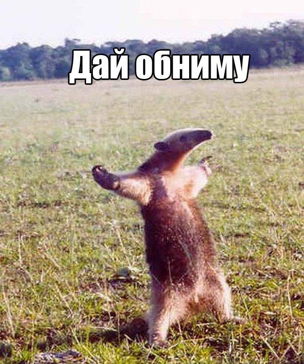 Въезд в Казахстан станет платным для россиян