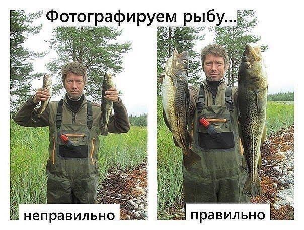 Томская область. Щука 15,5 кг