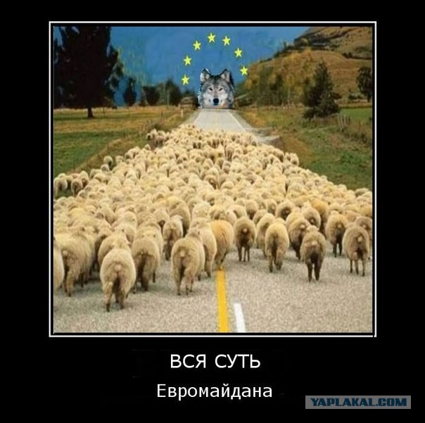 Киевляне, не выпускайте детей на улицу!