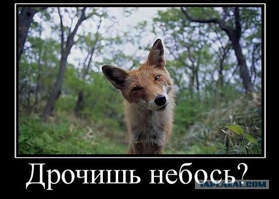 Недетская коллекция. Часть 1