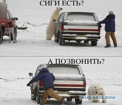 Жара в Сибири