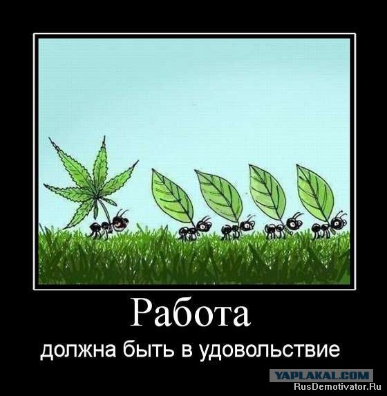 Добряки, плюсующие всех подряд