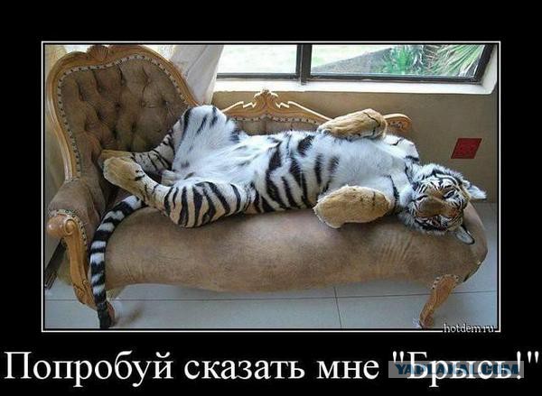 Подборка картинок