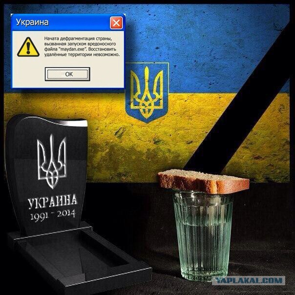 Привет ЯП из Донбасса