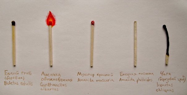 Инстаграм из всего что попало