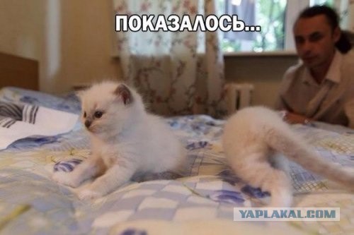 Немного картинок с просторов...