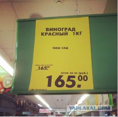Надписи, таблички, маразмы