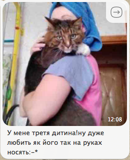 Шикарного кота выгнали на улицу Киев